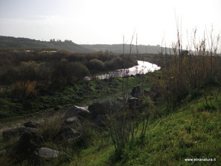 lle del Simeto-24-02-2013 09-11-44